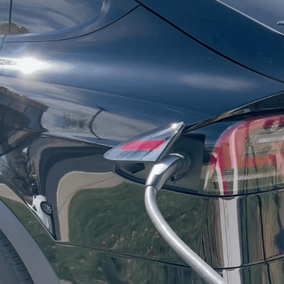 Model S & X